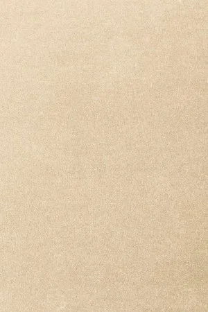 Ковровое покрытие AW Oinone 34 - (5м) в Новосибирске