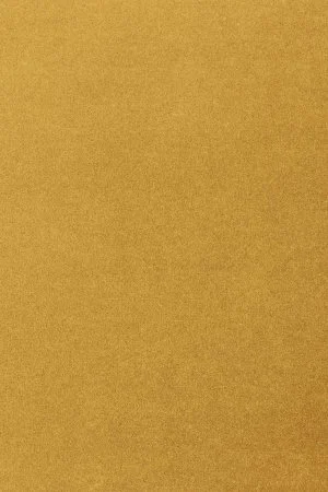 Ковровое покрытие AW Oinone 54 - (5м) в Новосибирске