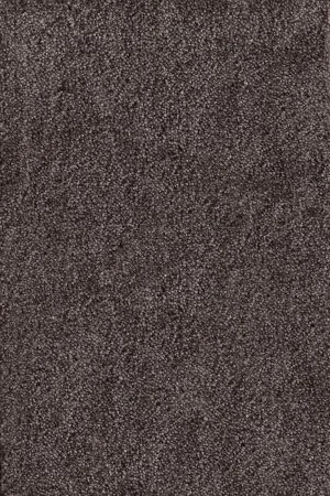 Ковровое покрытие AW Messalina 44 - (5м) в Новосибирске