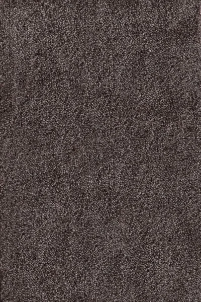 Ковровое покрытие AW Messalina 44 - (4м) в Новосибирске