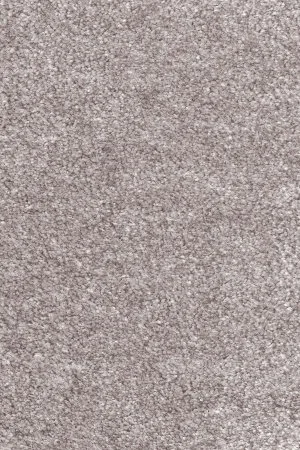 Ковровое покрытие AW Euphoria 16 - (5м) в Новосибирске