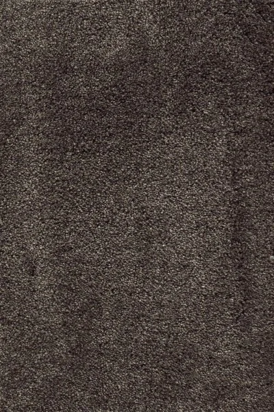 Ковровое покрытие AW Fedone 44 - (5м) в Новосибирске