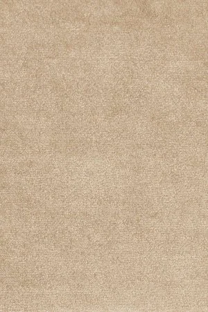 Ковровое покрытие AW Omphale 37 - (4м) в Новосибирске