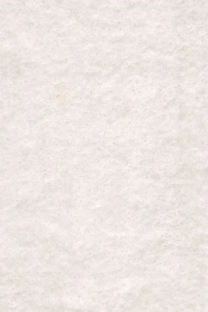 Ковровое покрытие AW Euphoria 03 - (4м) в Новосибирске