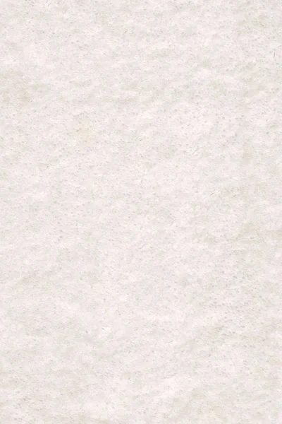 Ковровое покрытие AW Euphoria 03 - (5м) в Новосибирске