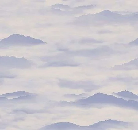 Обои Loymina Clair CLR4, 006 в Новосибирске