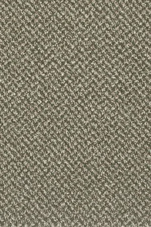 Ковровое покрытие AW Stainaway Tweed 24 - (4м) в Новосибирске