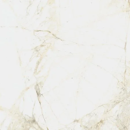 Керамогранит Coliseum Канова Уайт 60х60 (Натуральный и Реттифицированный) в Новосибирске