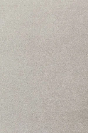 Ковровое покрытие AW Oinone 92 - (4м) в Новосибирске