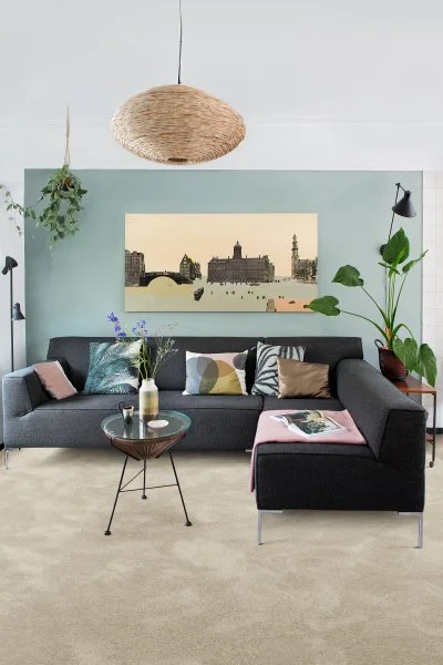 Ковровое покрытие AW Brooklyn Plain 03 - (5м) в Новосибирске