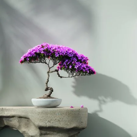 Обои Loymina Lotus LOT1 112 в Новосибирске