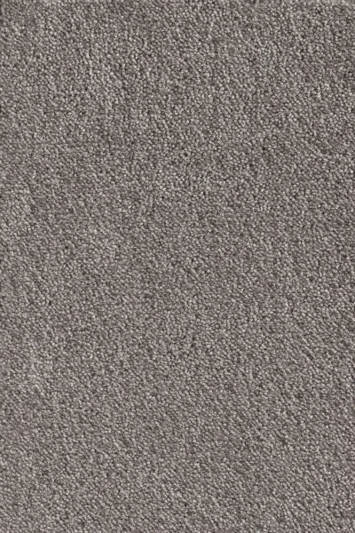 Ковровое покрытие AW Messalina 49 - (5м) в Новосибирске