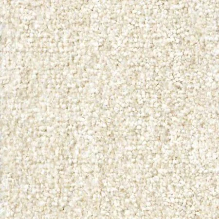 Ковровое покрытие Zartex Парадиз 565 Пломбир - 3 м в Новосибирске