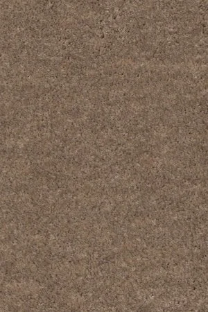 Ковровое покрытие AW Euphoria 36 - (4м) в Новосибирске