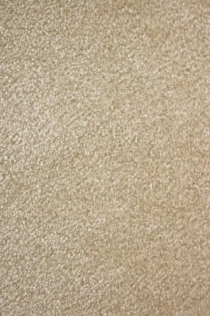 Ковровое покрытие AW Euphoria 33 - (5м) в Новосибирске