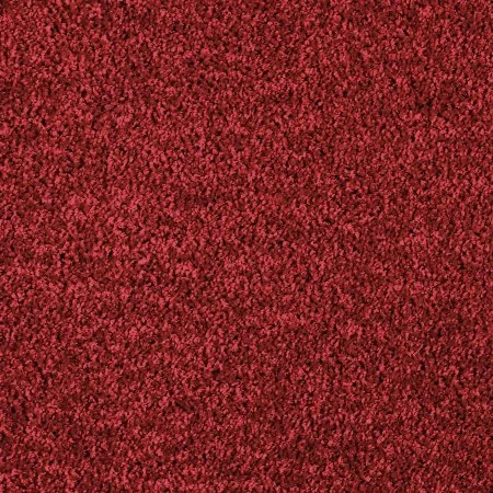 Ковровое покрытие AW Kiama 11 - (5м) в Новосибирске