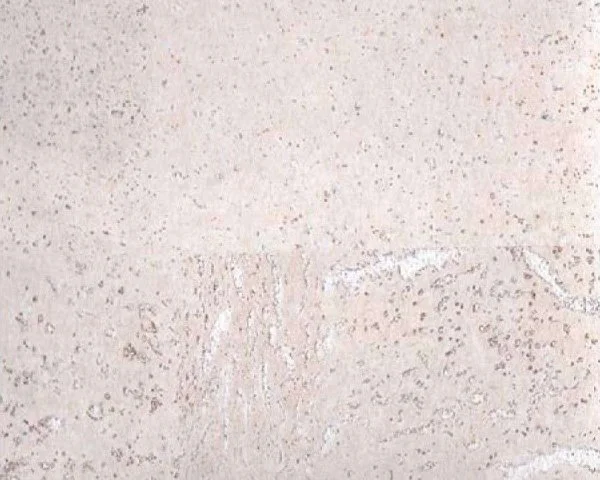 Настенное пробковое покрытие CorkArt PW 386 WS в Новосибирске