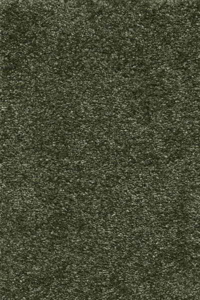 Ковровое покрытие AW Certosa 24 - (4м) в Новосибирске