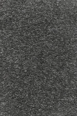 Ковровое покрытие AW Omnia 97 - (3м) в Новосибирске