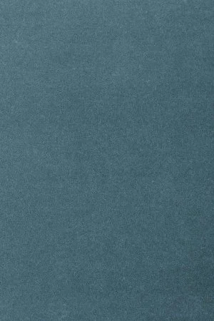 Ковровое покрытие AW Oinone 74 - (5м) в Новосибирске