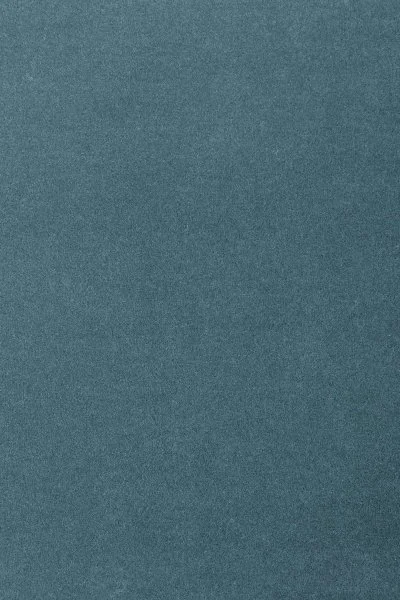 Ковровое покрытие AW Oinone 74 - (5м) в Новосибирске