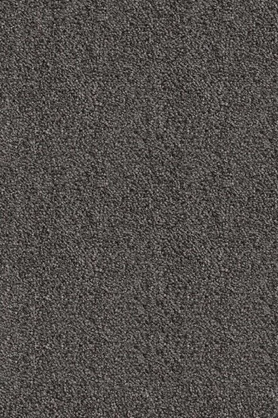 Ковровое покрытие AW Messalina 99 - (5м) в Новосибирске