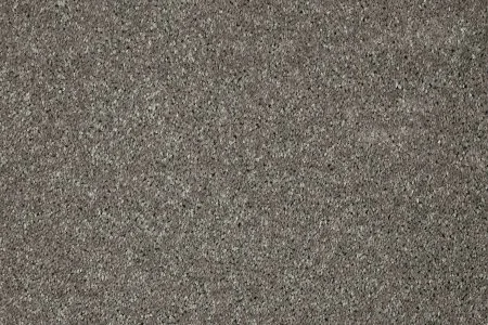 Ковровое покрытие AW Gala 94 - (5м) в Новосибирске