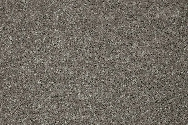 Ковровое покрытие AW Gala 94 - (5м) в Новосибирске