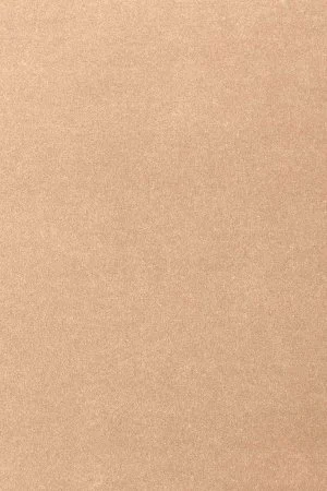 Ковровое покрытие AW Oinone 08 - (4м) в Новосибирске