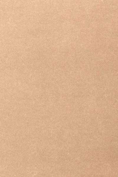 Ковровое покрытие AW Oinone 08 - (4м) в Новосибирске