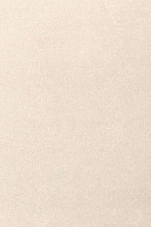 Ковровое покрытие AW Oinone 03 - (4м) в Новосибирске