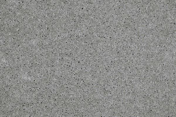 Ковровое покрытие AW Gala 90 - (4м) в Новосибирске