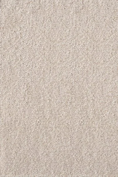 Ковровое покрытие AW Messalina 34 - (5м) в Новосибирске