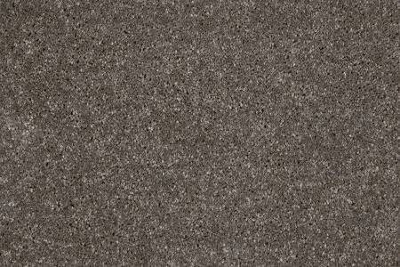 Ковровое покрытие AW Gala 49 - (4м) в Новосибирске