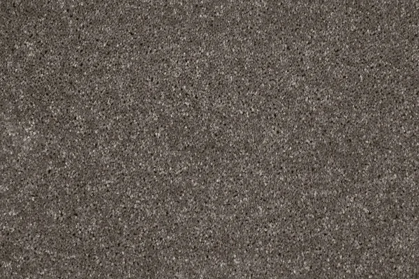 Ковровое покрытие AW Gala 49 - (4м) в Новосибирске