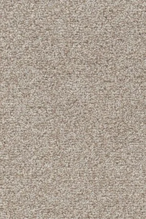 Ковровое покрытие AW Stainguard Harvest 04 - (4м) в Новосибирске