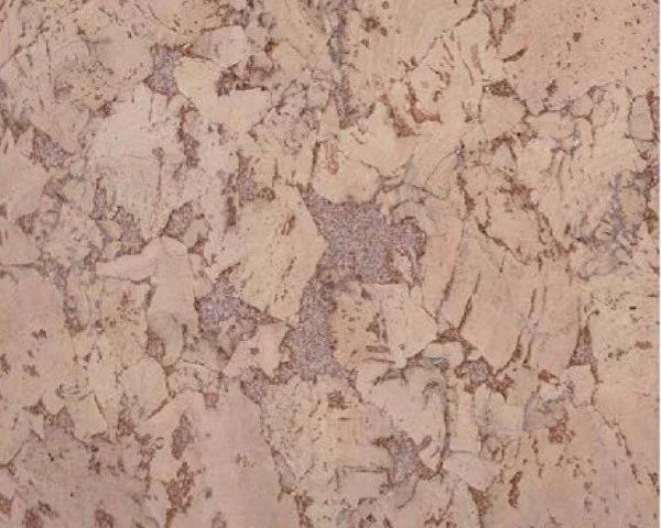 Настенное пробковое покрытие CorkArt PW 324 NK в Новосибирске