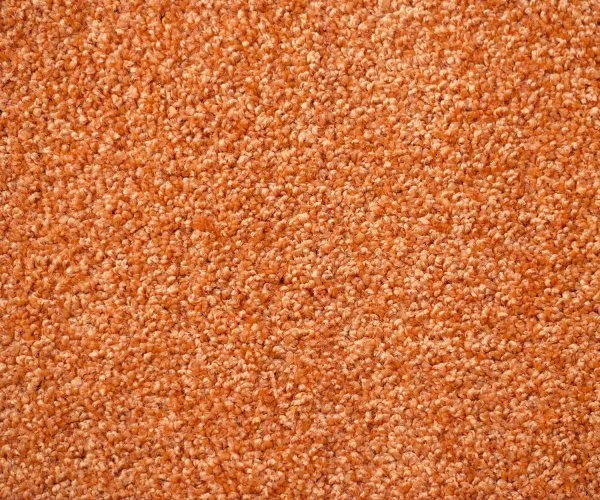 Ковровое покрытие Zartex Кидс 284 Апельсин - 3 м в Новосибирске
