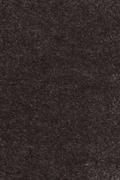 Ковровое покрытие AW Euphoria 43 - (4м) в Новосибирске