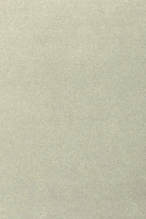 Ковровое покрытие AW Oinone 02 - (5м) в Новосибирске