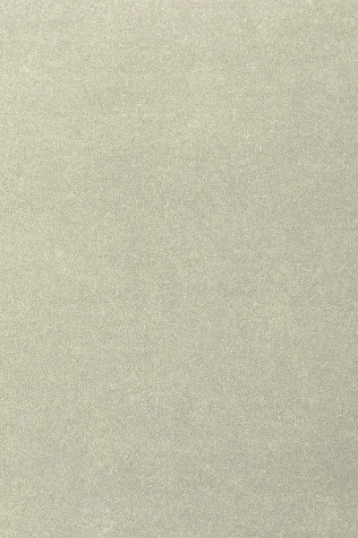 Ковровое покрытие AW Oinone 02 - (4м) в Новосибирске