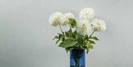 Обои Loymina Shade vol.2 SDR5, 001 в Новосибирске