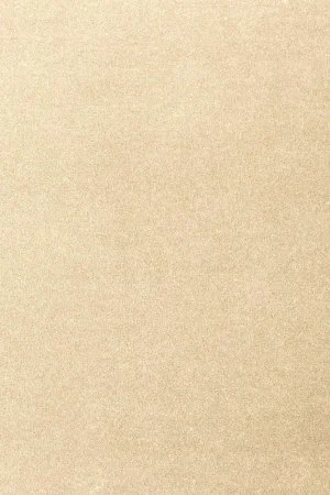 Ковровое покрытие AW Oinone 33 - (5м) в Новосибирске