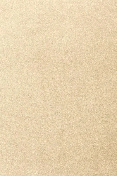 Ковровое покрытие AW Oinone 33 - (4м) в Новосибирске