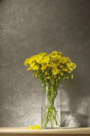 Обои Loymina Golden Library TDG 7, 008 в Новосибирске