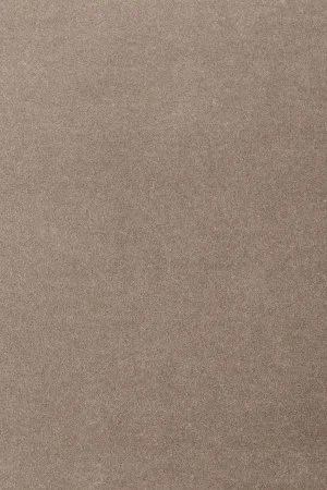 Ковровое покрытие AW Oinone 49 - (5м) в Новосибирске