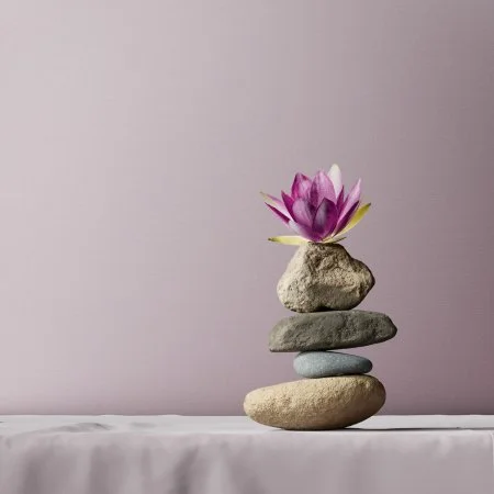 Обои Loymina Textile TXL3 007 в Новосибирске