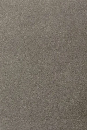 Ковровое покрытие AW Oinone 95 - (5м) в Новосибирске