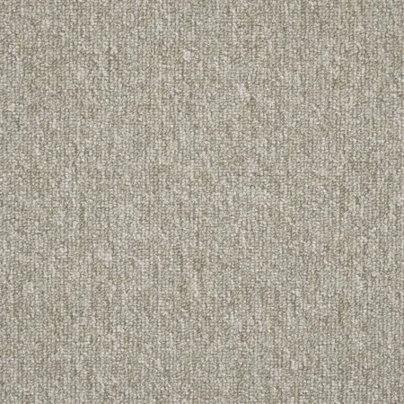 Ковровая плитка AW Medusa 33 в Новосибирске