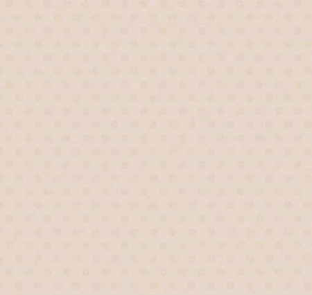 Обои Loymina Golden Library Q11, 002/1 в Новосибирске